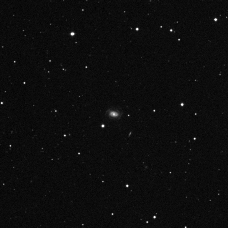 NGC 2981 - Zoom