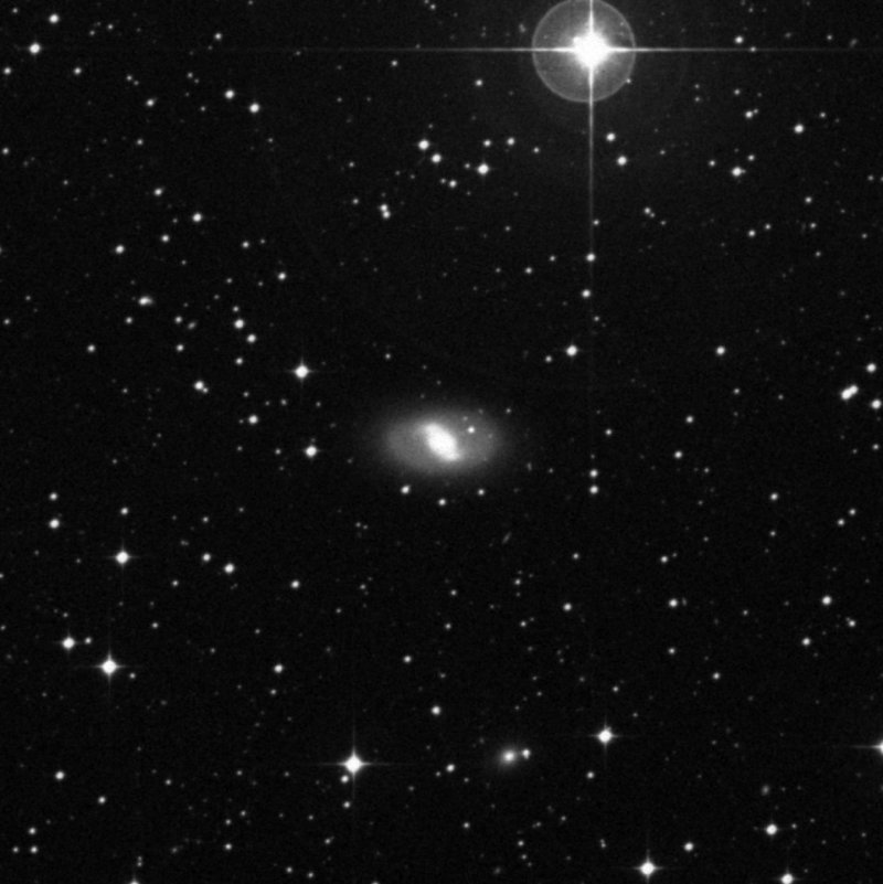 NGC 2983 - Zoom