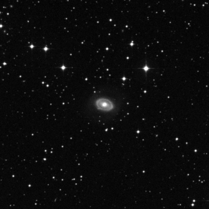 NGC 3081 - Zoom