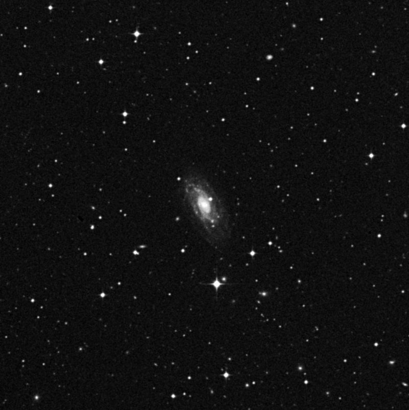 NGC 3321 - Zoom