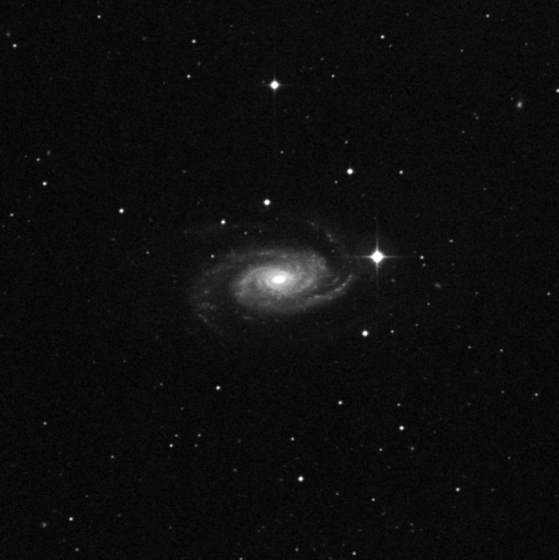 NGC 3338 - Zoom
