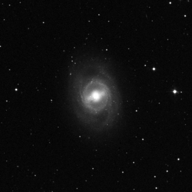 NGC 3351 - Zoom