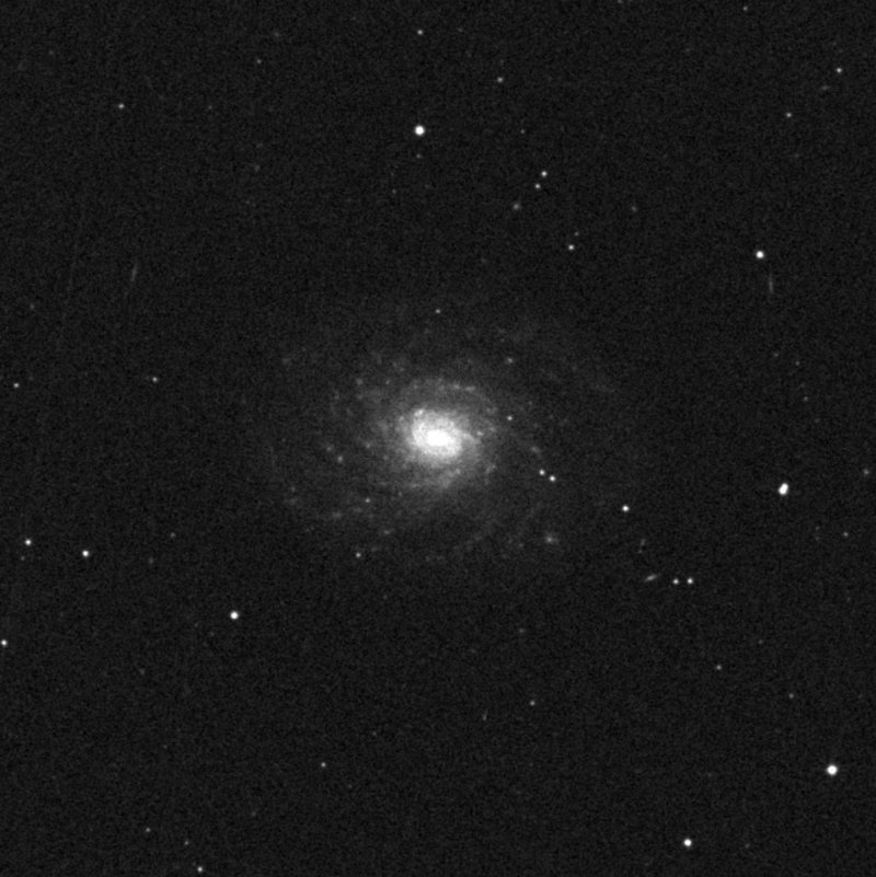 Pequeña Galaxia de la Rosa - Zoom