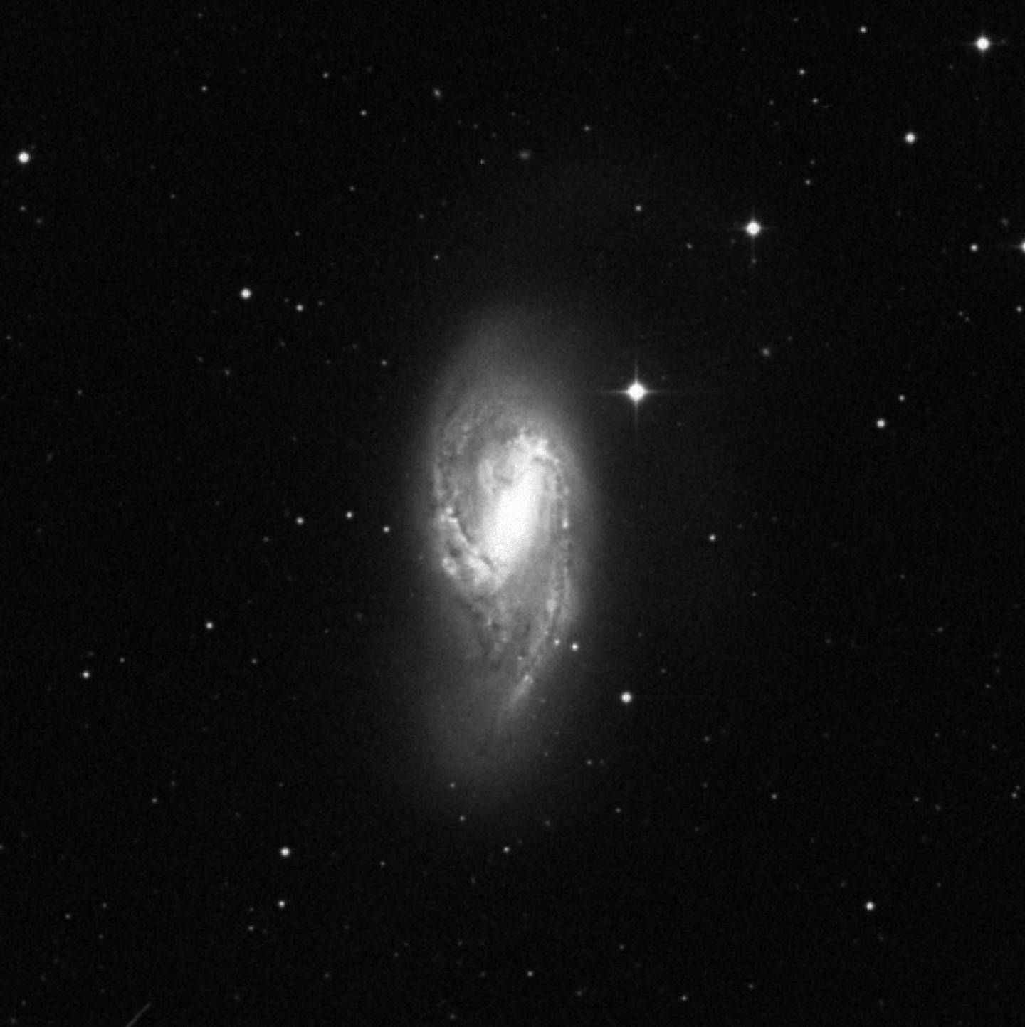 Messier 66 - Triplete de Leo