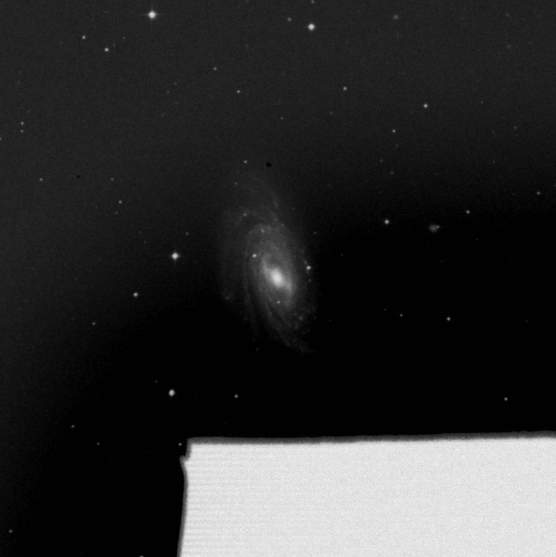 NGC 3953 - Zoom