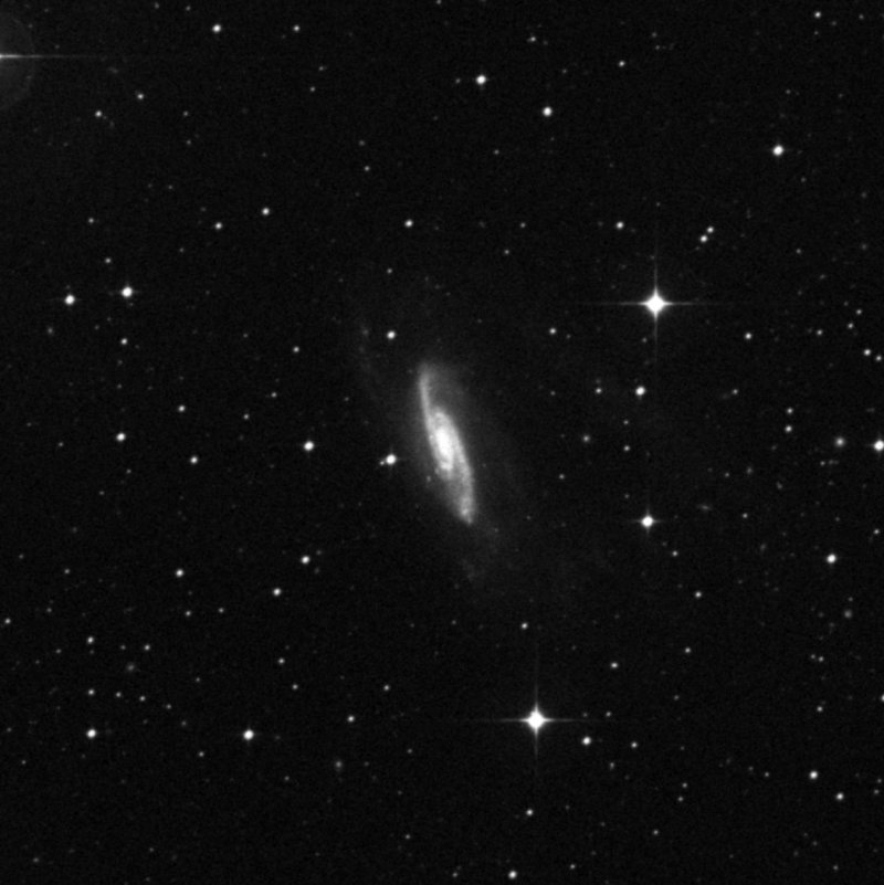 NGC 3981 - Zoom