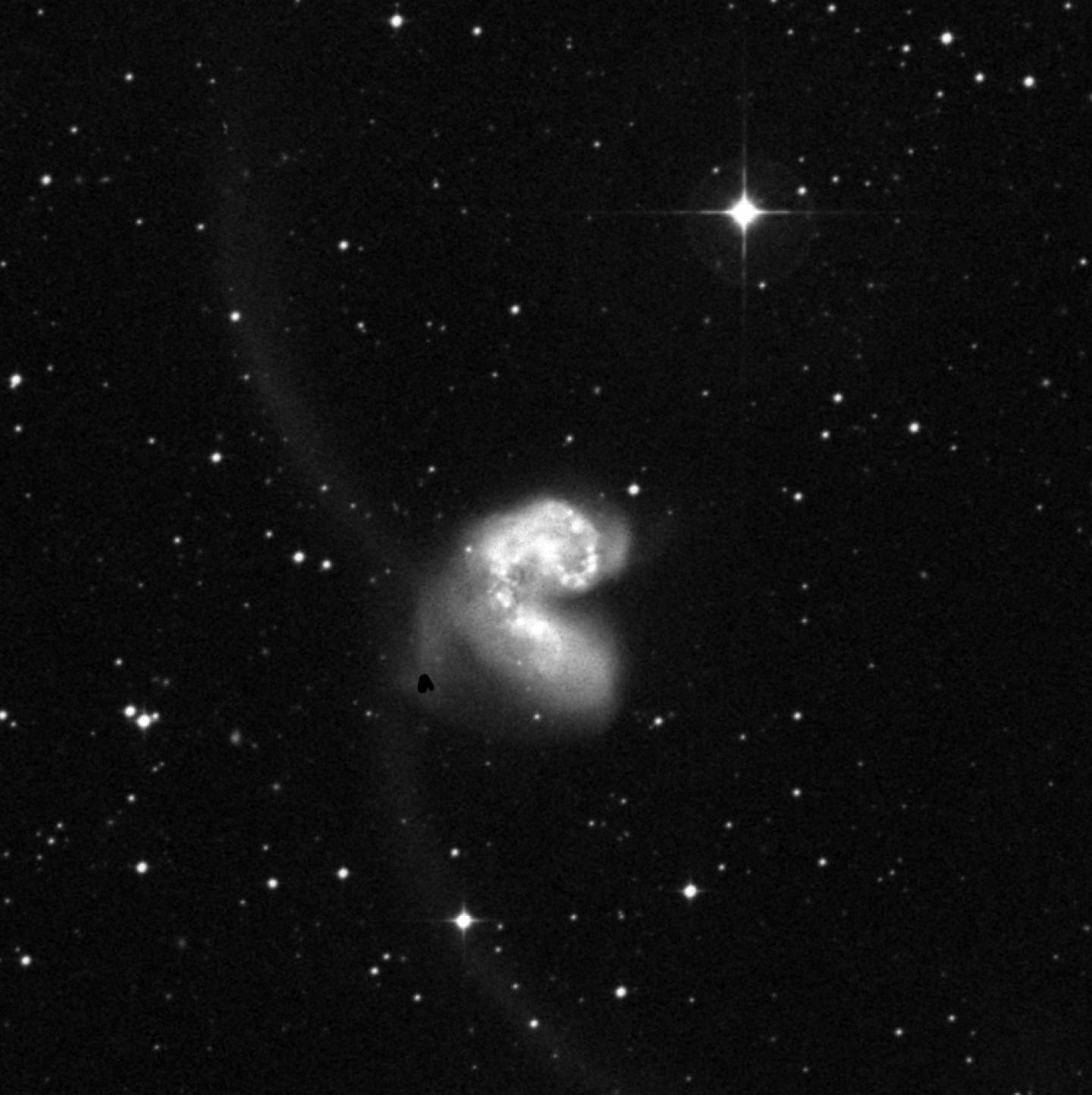NGC 4038 - Galaxias de las Antenas
