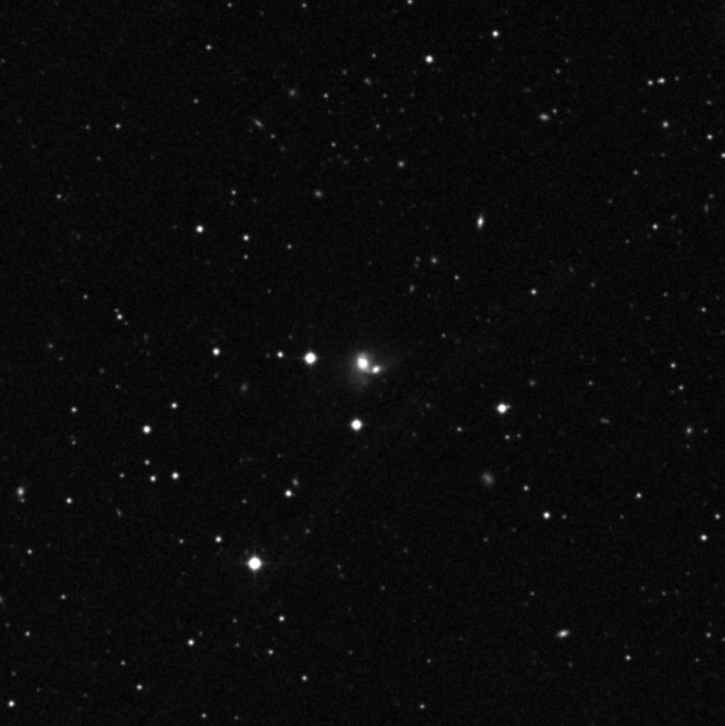 IC 95002 - Zoom