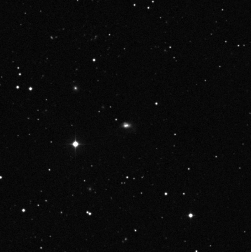 IC 954 - Zoom