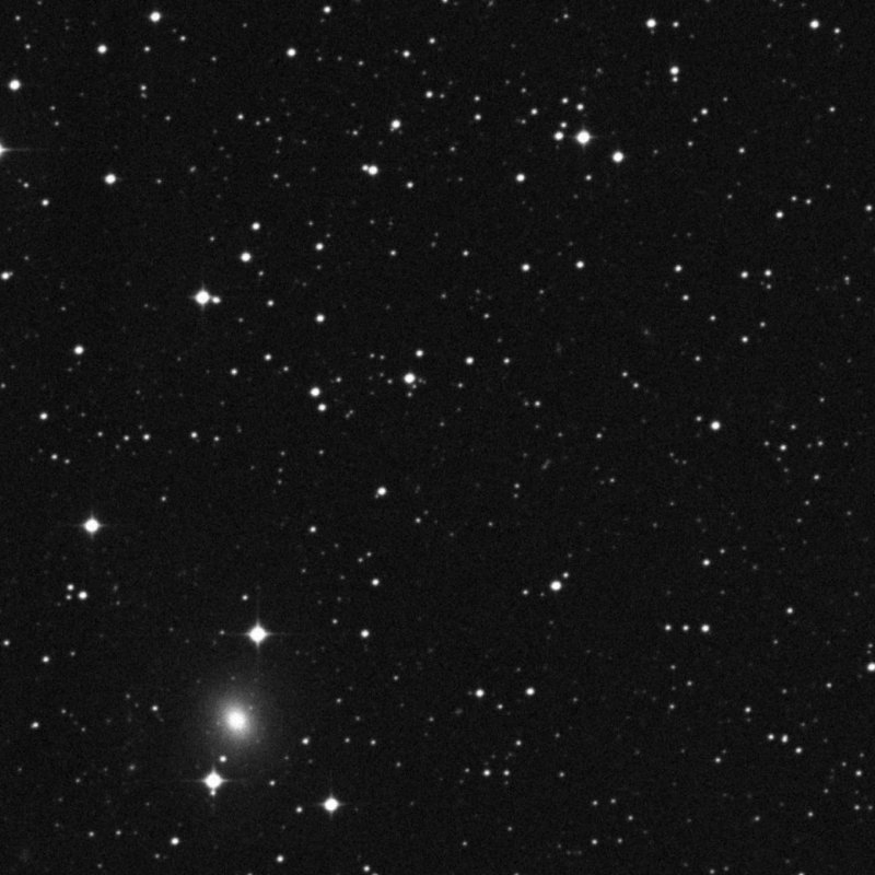 IC 955 - Zoom