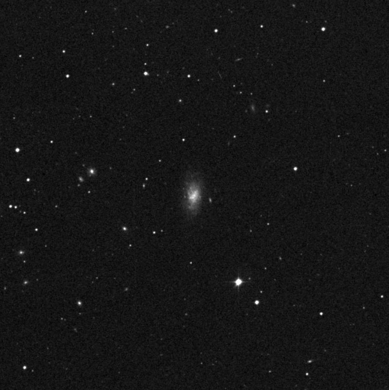 NGC 4142 - Zoom